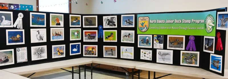 ND Junior Duck Stamp Program art